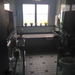 New Point Real Estate Bay Front 12